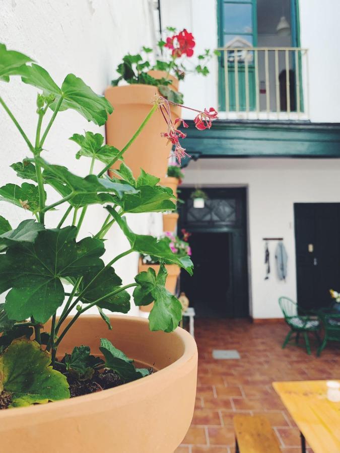 Maria Magdalena - Room 5 Malaga Exterior photo