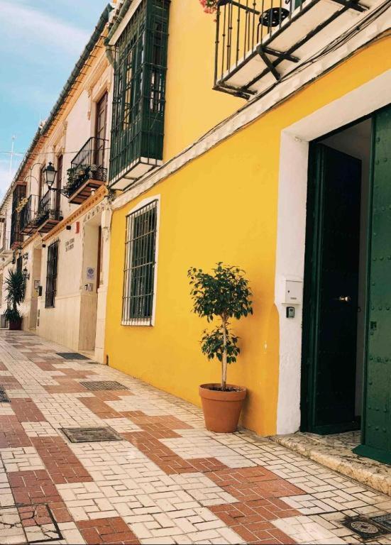 Maria Magdalena - Room 5 Malaga Exterior photo
